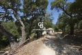 Appartement GRIMAUD Paradis 2-Ritorte 4441472_1