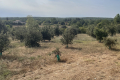 terrain ISSIRAC Saint-Gervais 4440620_2