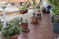 Appartement NICE 2 pi&egrave;ces 4441478_2