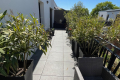 Appartement ANDERNOS-LES-BAINS 4441112_3