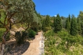Maison LE LAVANDOU 0 pi&egrave;ces 4441213_3
