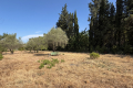 terrain VEZENOBRES 4441693_0