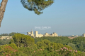 Maison VILLENEUVE-LES-AVIGNON 7 pi&egrave;ces 4442007_0