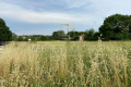 terrain ST-CHRISTOL-LES-ALES 4444412_0