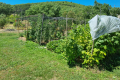 Maison FORCALQUIER 4443577_2