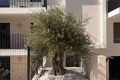 Appartement AUBAGNE 2 pi&egrave;ces 4445323_0