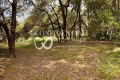 House MOUGINS 10 rooms 4444792_1