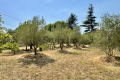 terrain ST-HILAIRE-DE-BRETHMAS 4446438_1