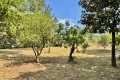 terrain ST-HILAIRE-DE-BRETHMAS 4446439_1
