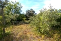 terrain ARPAILLARGUES-ET-AUREILLAC 4445567_2