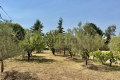 terrain ST-HILAIRE-DE-BRETHMAS 4446438_3