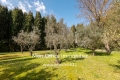 Maison AIX-EN-PROVENCE 18 pi&egrave;ces 4450076_3