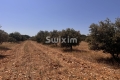 terrain COLONZELLE 4511945_0