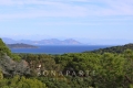 terrain RAMATUELLE 4512133_0