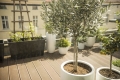 Appartement ISSY LES MOULINEAUX Gresillons 4489880_1