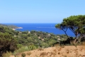 Building plot RAMATUELLE Peyron-Saint Sebastien 4512133_1