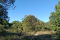 terrain BLAUZAC 4516340_0