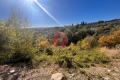 terrain LA ROQUETTE-SUR-SIAGNE 4516837_2