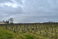 Commerce MARGAUX CANTENAC 4516626_3