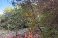 terrain GIENS 4518163_2