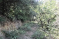 terrain VIVIERS 4519864_1