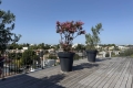 Appartement BORDEAUX 0 pi&egrave;ces 4519874_1