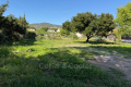 terrain BORMES-LES-MIMOSAS 4520143_1