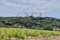 Maison RAMATUELLE 4522289_0