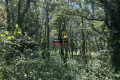 terrain GRIGNAN 4525532_3