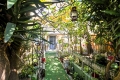 Maison NICE 4526239_2