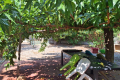 Maison CANET EN ROUSSILLON 4 pi&egrave;ces 4527427_2
