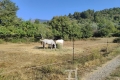 terrain SOSPEL 4533442_0