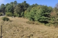 terrain SOSPEL 4533442_1