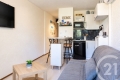 Appartement BORMES-LES-MIMOSAS 1 pi&egrave;ces 4532927_3