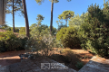 Maison ARCACHON 4533056_3