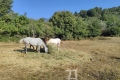 terrain SOSPEL 4533442_3