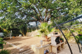 Maison FREJUS 4536080_2