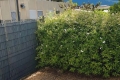Appartement LE CASTELLET 4537358_0
