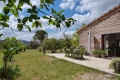 Maison VAISON-LA-ROMAINE Sud 4537386_1