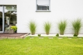 Appartement LE CHESNAY-ROCQUENCOURT 4537750_1