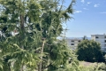 Appartement ANTIBES 3 pi&egrave;ces 4539064_3