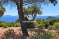 Maison RAYOL-CANADEL-SUR-MER 4539196_0