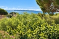 Appartement LE LAVANDOU 2 pi&egrave;ces 4543478_0