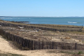 Maison ST PIERRE D OLERON 4548341_3