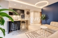 Apartment NICE 4550762_1