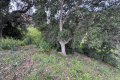 terrain FREJUS 0 pi&egrave;ces 4549697_2