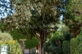 House ST-TROPEZ 5 rooms 4549809_2