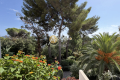 Appartement LA SEYNE-SUR-MER 4549632_3