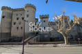 Bien TARASCON 0 pi&egrave;ces 4551383_1