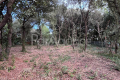 terrain ST PALAIS SUR MER Sud-Ouest Suzac 4551995_0